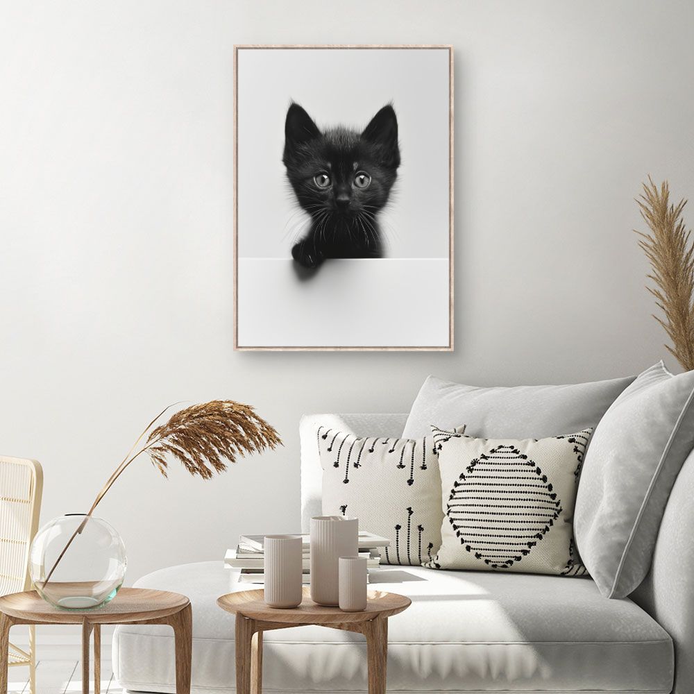 Toile Chaton curieux – toile cadre naturel (slide 1, 60×90)