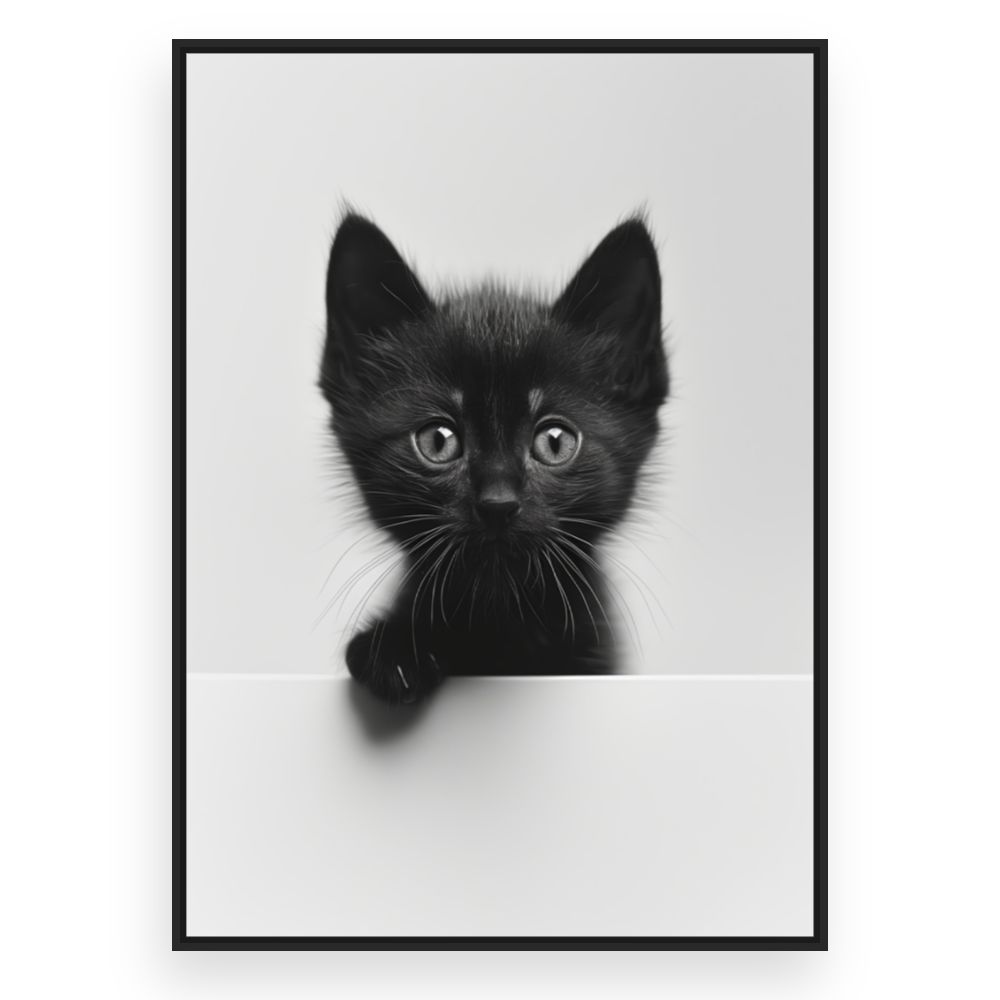 Toile Chaton curieux – toile cadre noir (slide 3)