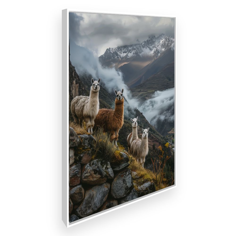 Toile Lamas majestueux – toile cadre blanc (slide 2)