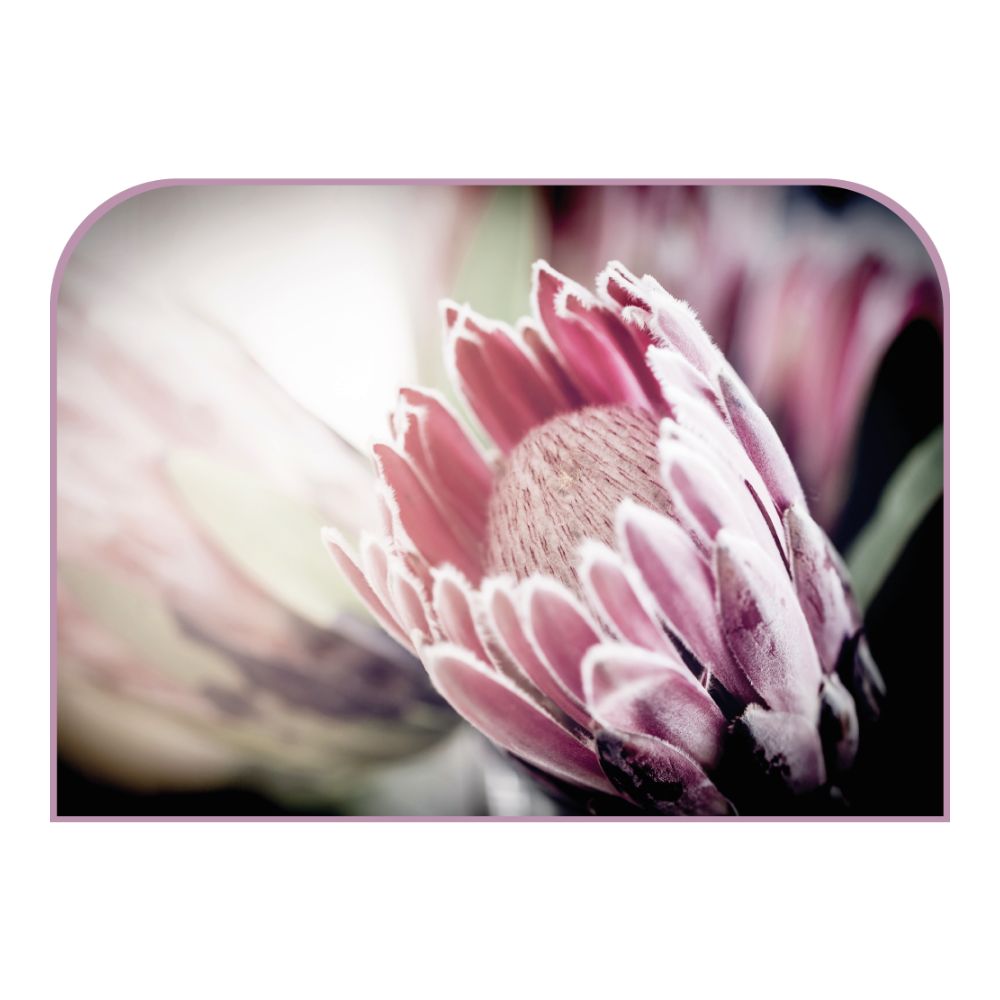 Tête de lit fleur – vue d'ambiance