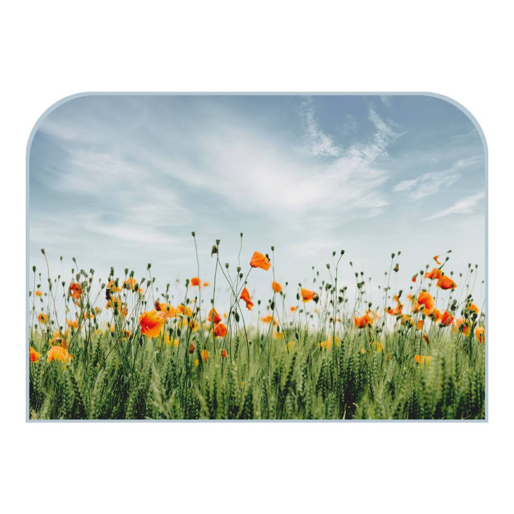 Tête de lit coquelicots – vue d'ambiance