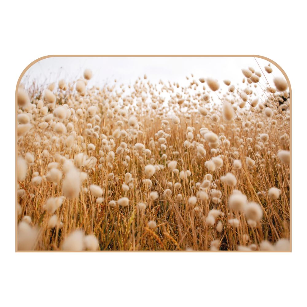 Tête de lit herbes – vue d'ambiance