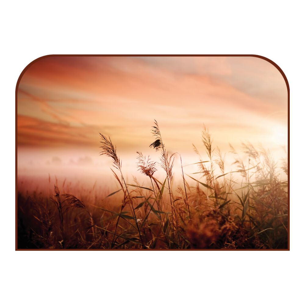 Tête de lit roseaux – vue d'ambiance