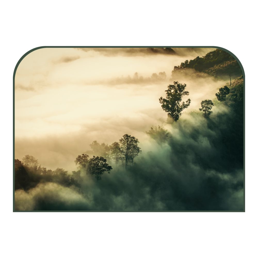 Tête de lit forêt brumeuse – vue d'ambiance