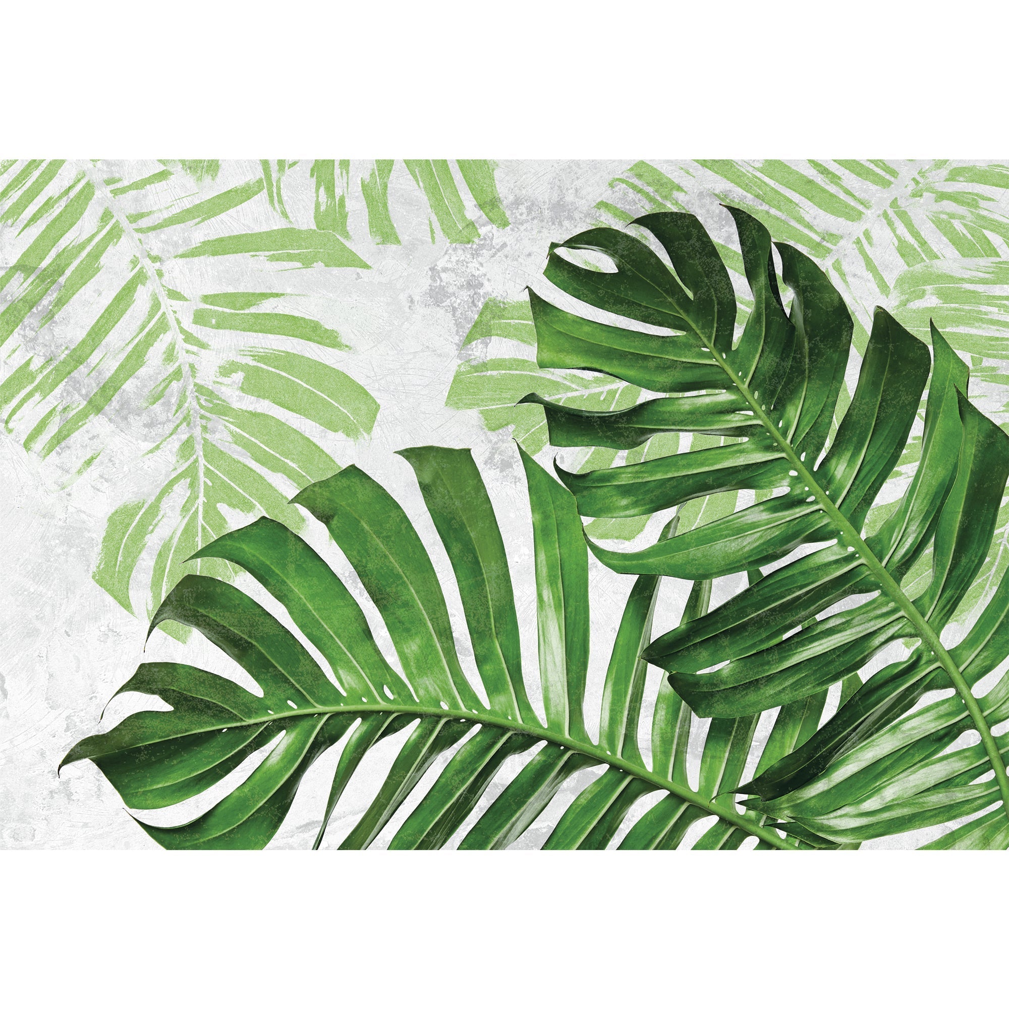 Aubrielle - 040658 - Tapis.