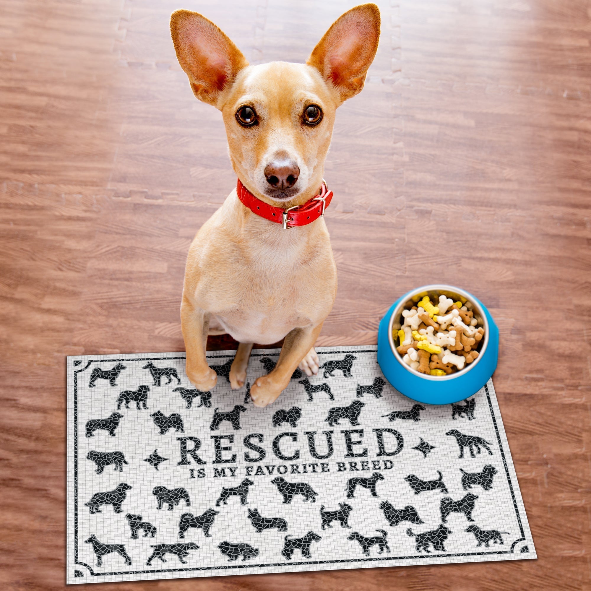 DIXIE - Tapis Animaux.