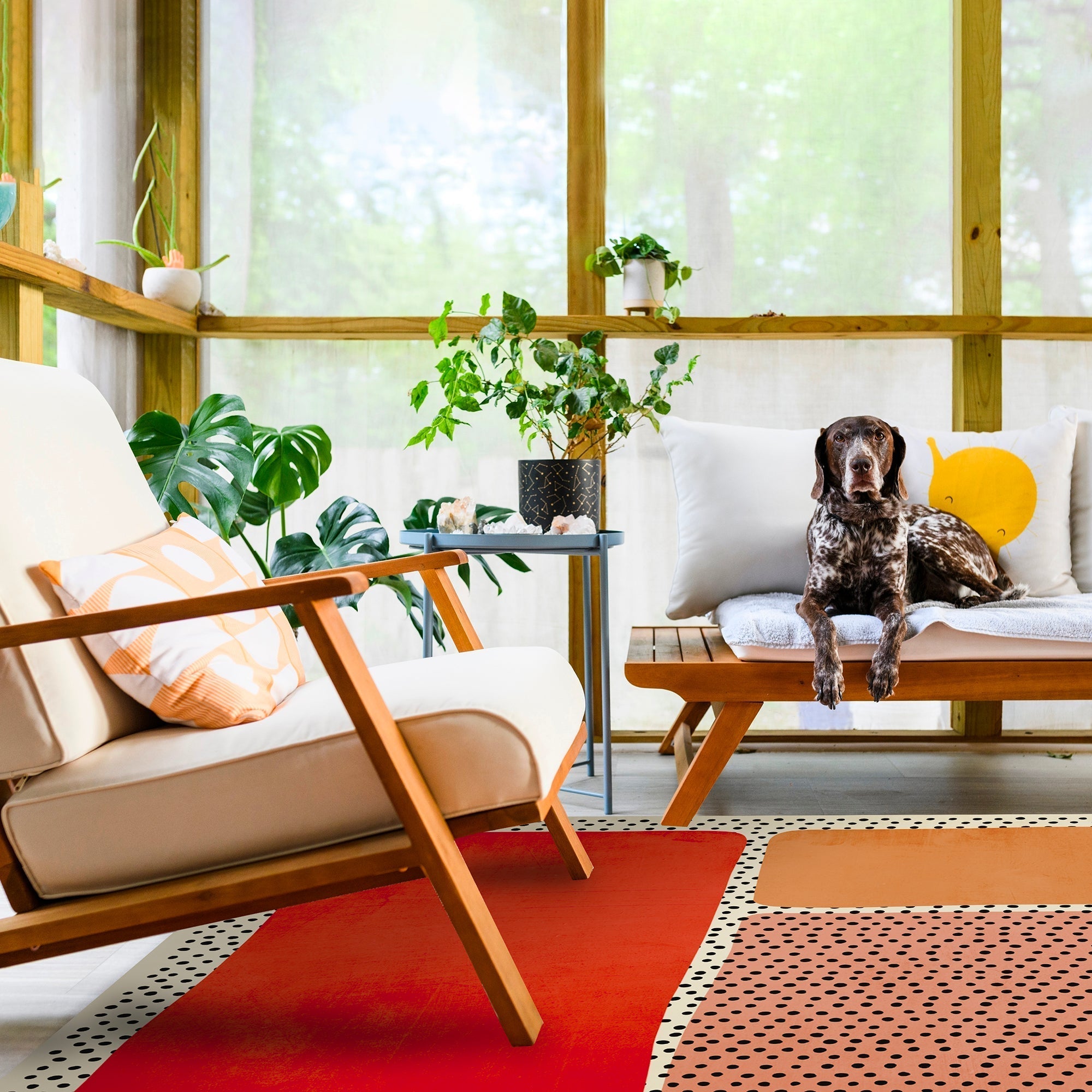 Remy - 054991 - Tapis.