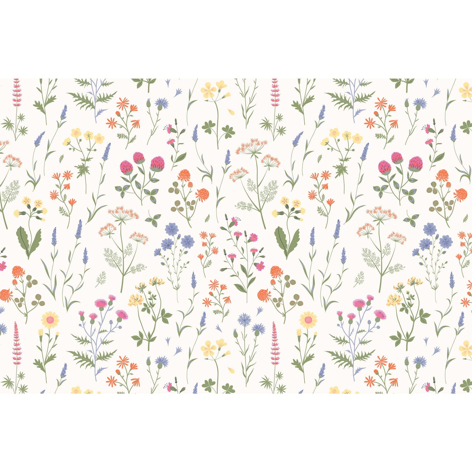 Anais - 075935 - Tapis.