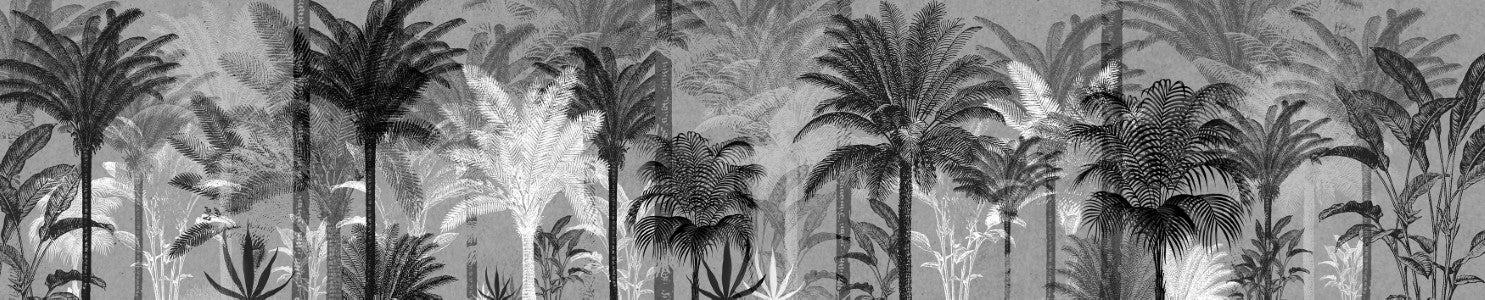 Illustration n°2