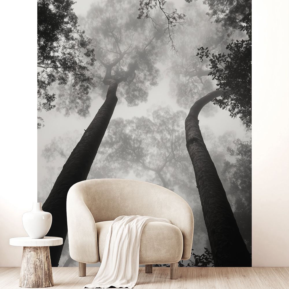 Papier peint "Arbres majestueux et brumeux"