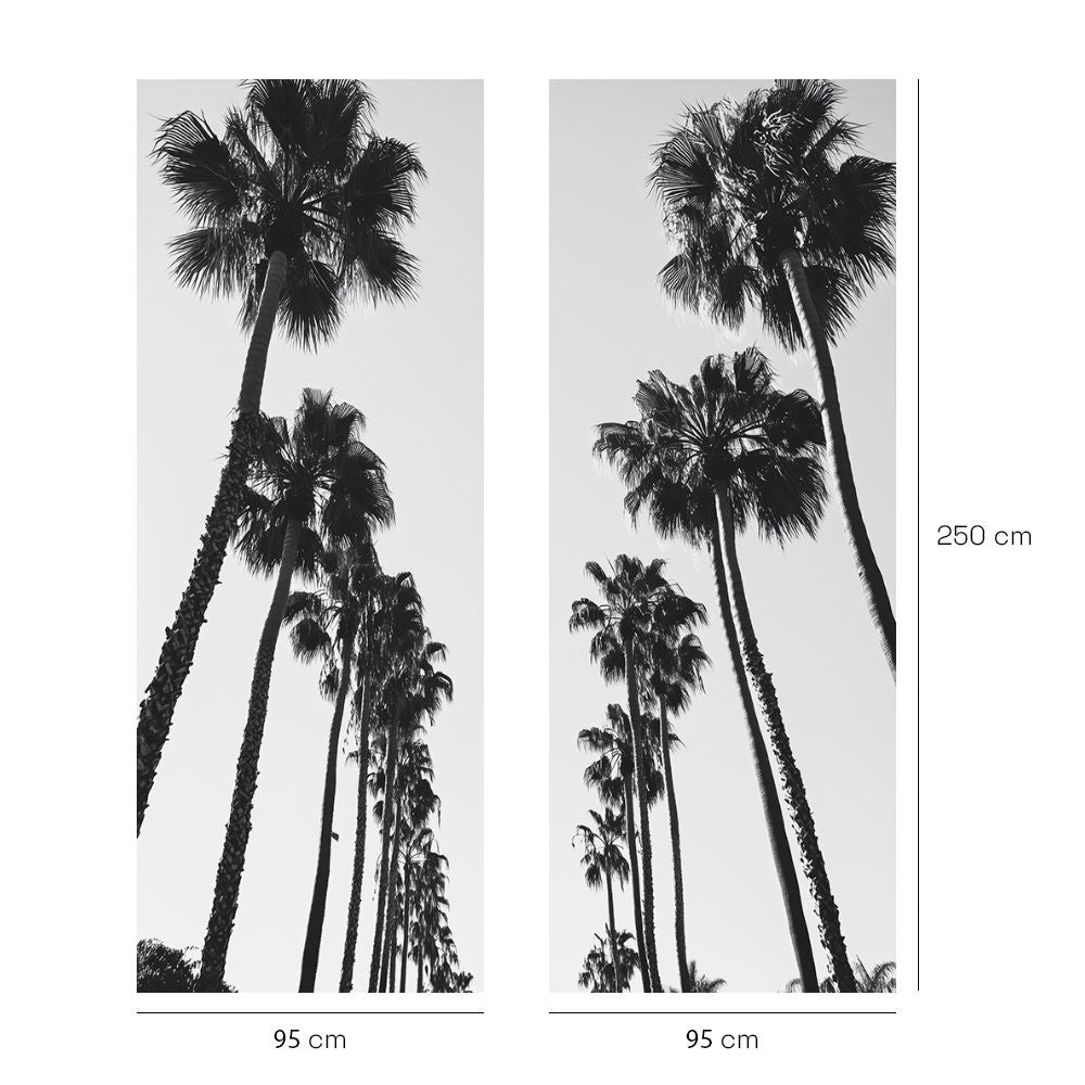 Papier peint "Palmiers majestueux"