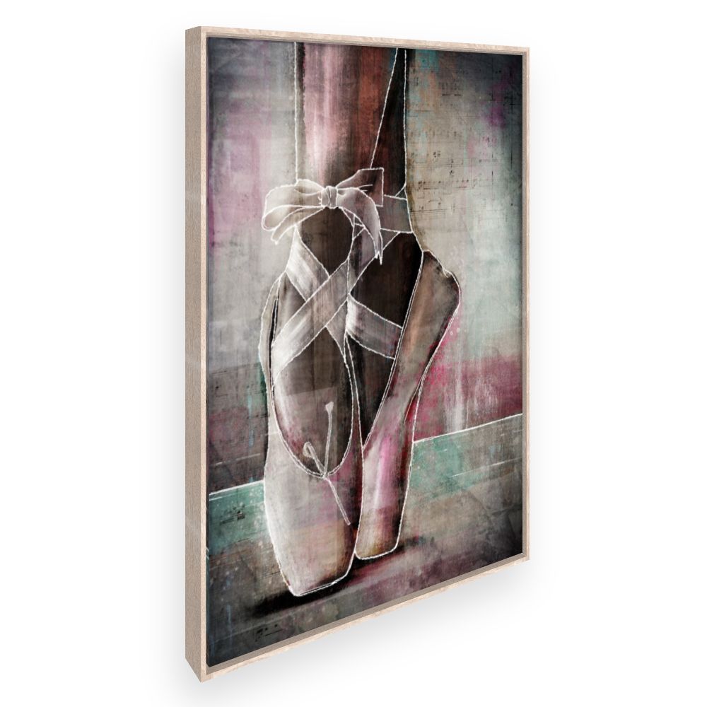 Toile Chaussons de ballet