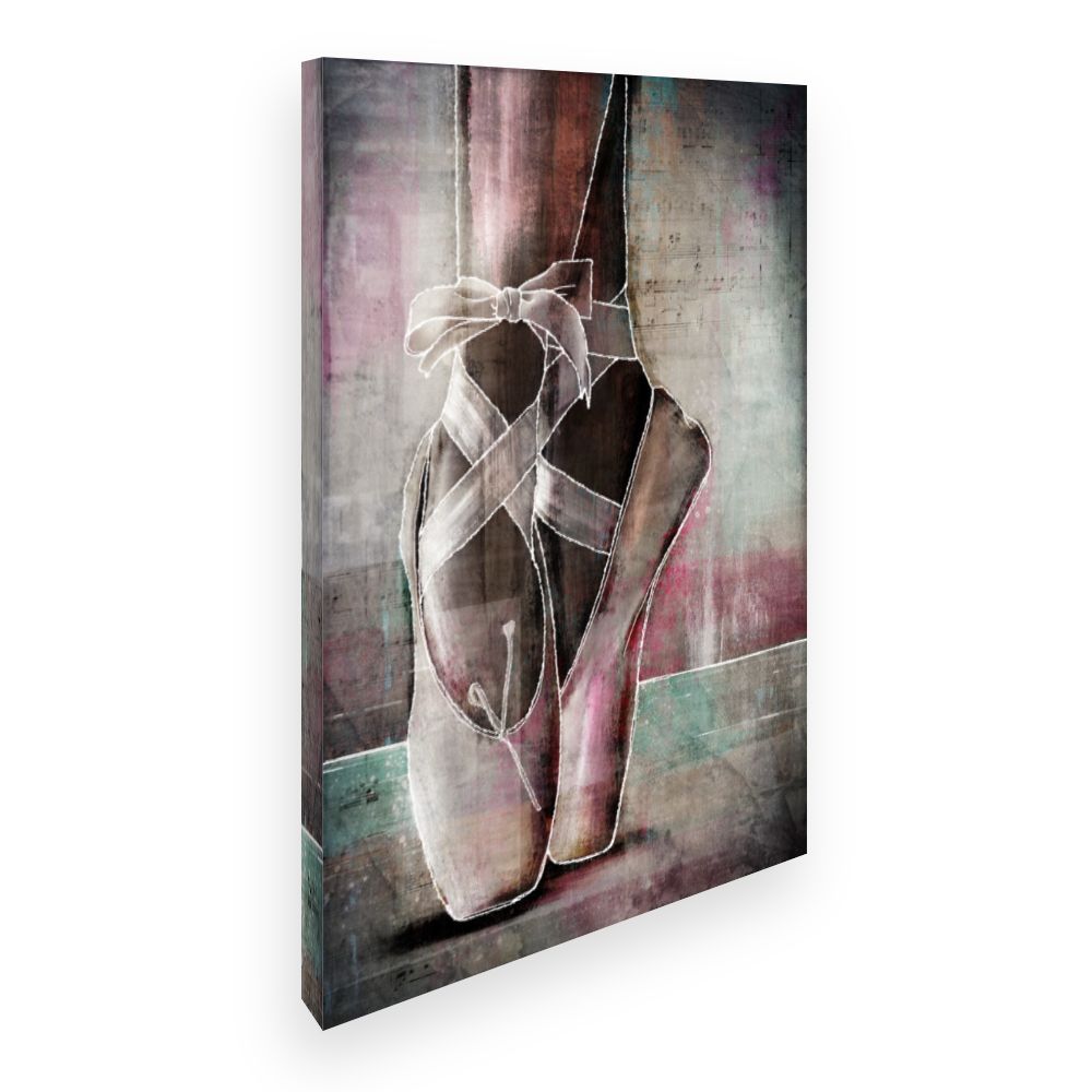 Toile Chaussons de ballet