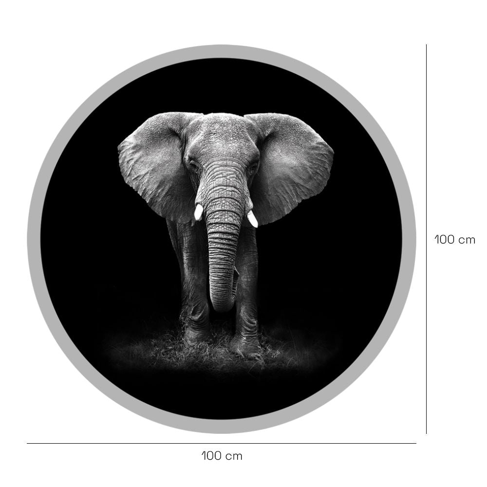 Papier peint rond "Éléphant majestueux"