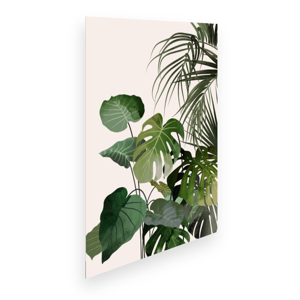 Affiche Feuillage luxuriant