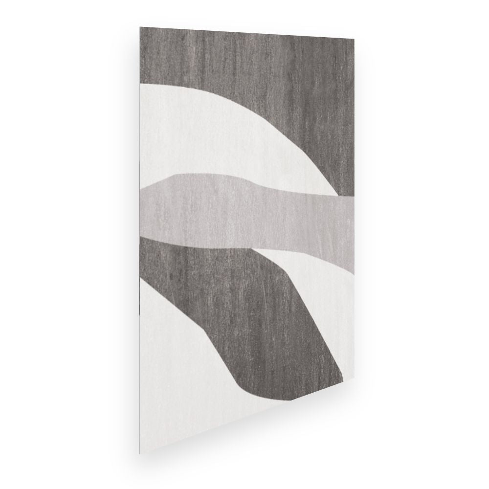Affiche Abstractions élégantes