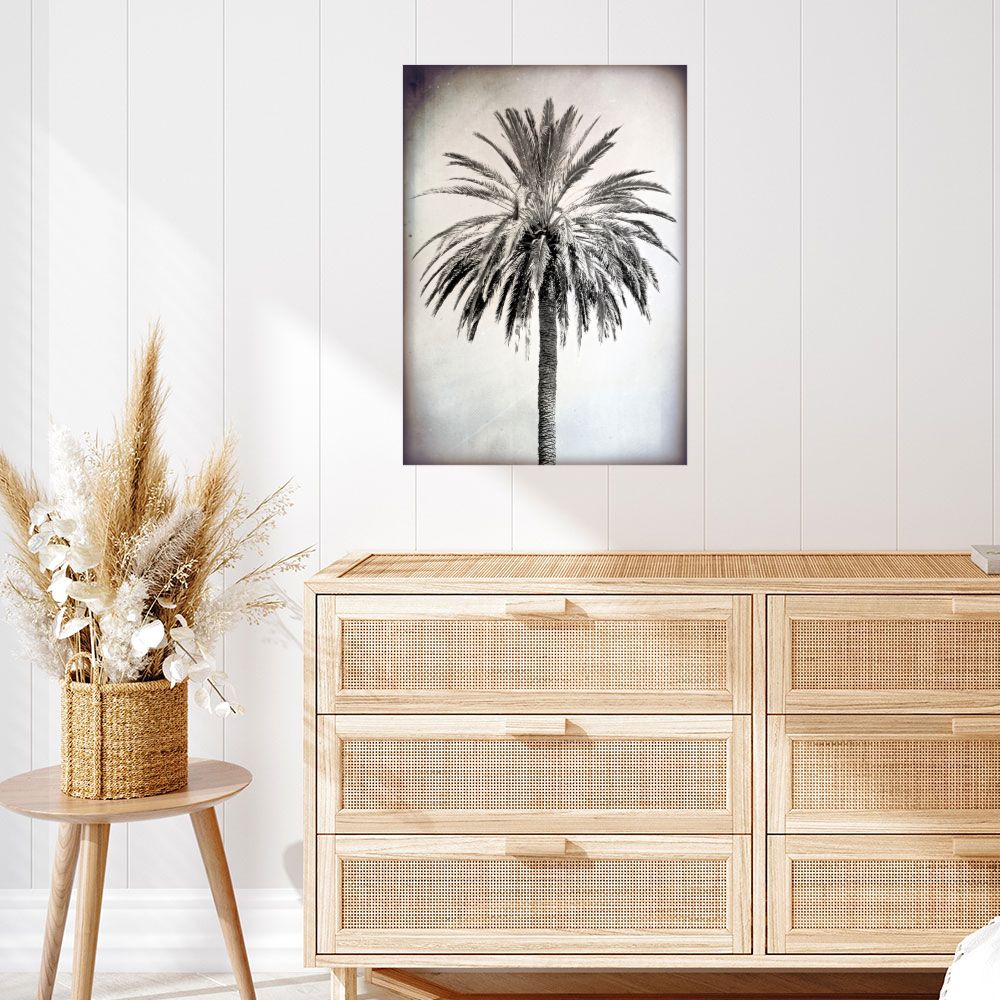 Affiche Palmier élégant