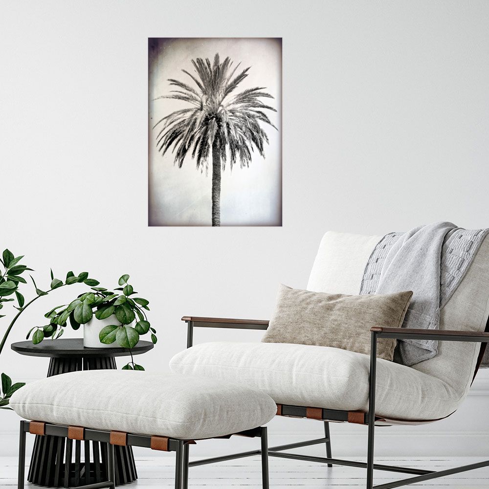 Affiche Palmier élégant