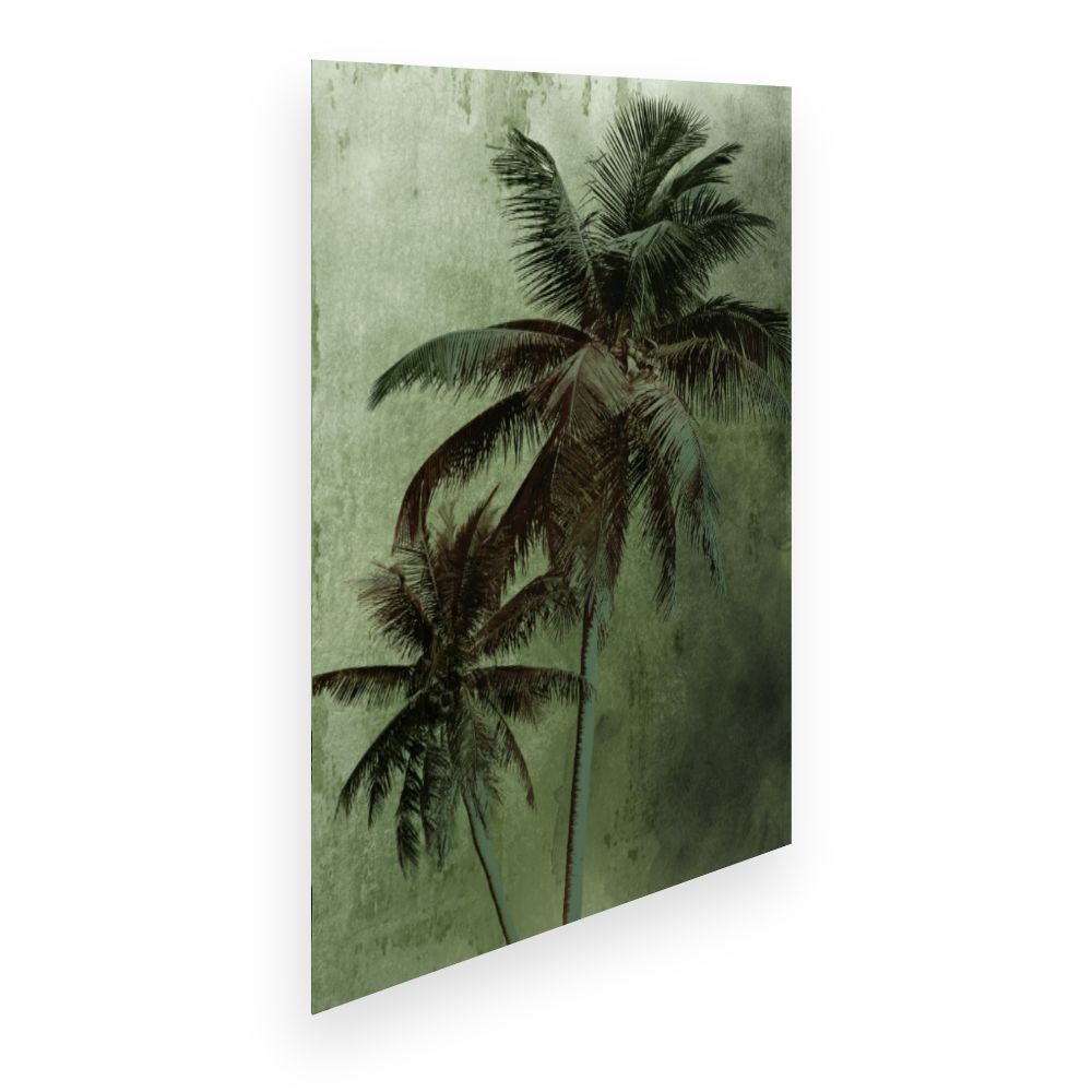 Affiche Palmiers tropicaux