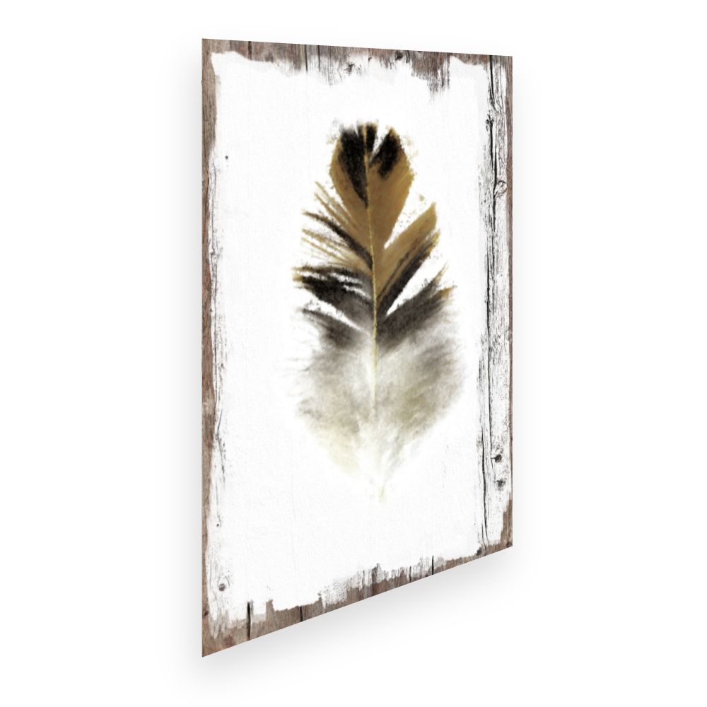 Affiche Plume douce