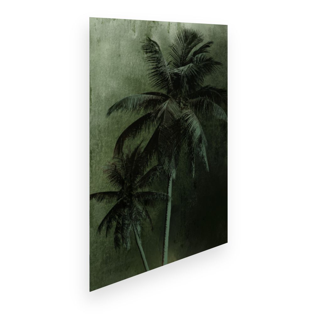 Affiche Palmiers exotiques