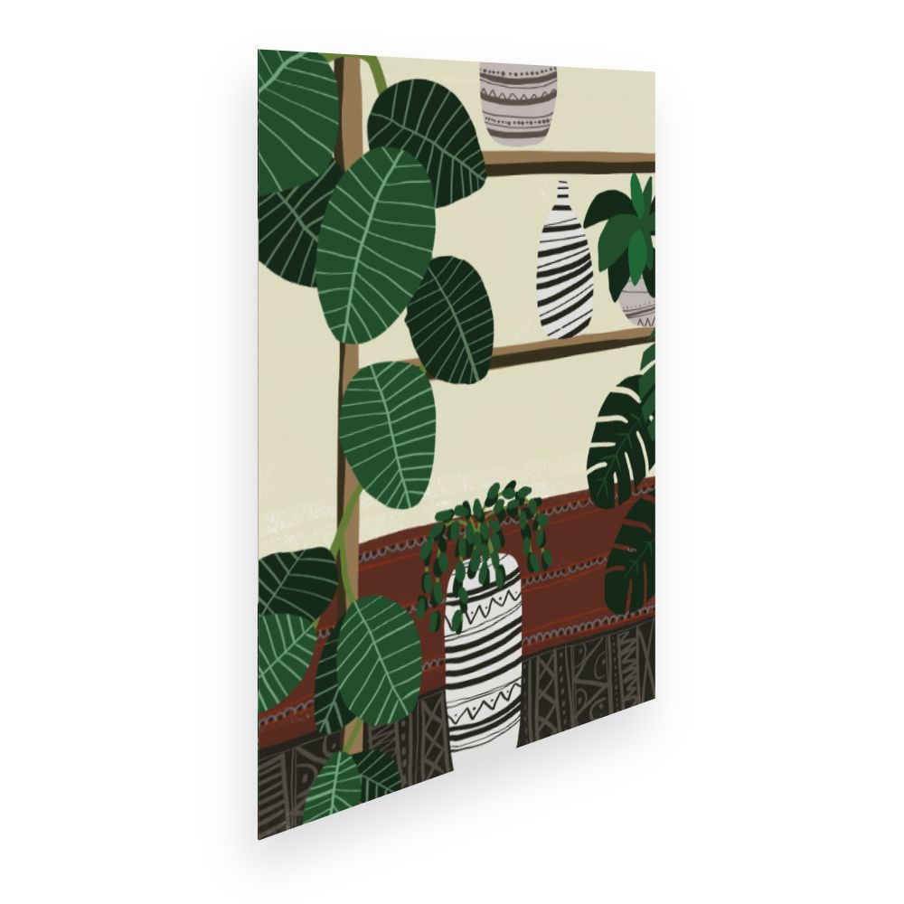 Affiche Plantes exotiques