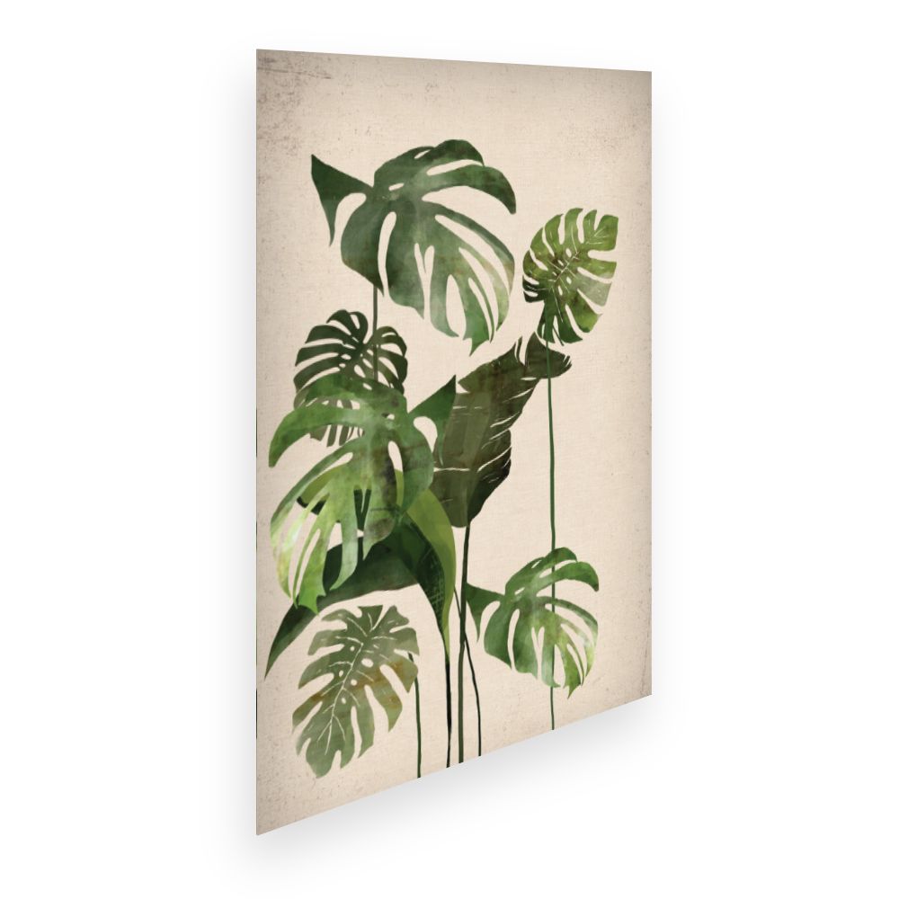 Affiche Feuillage tropical