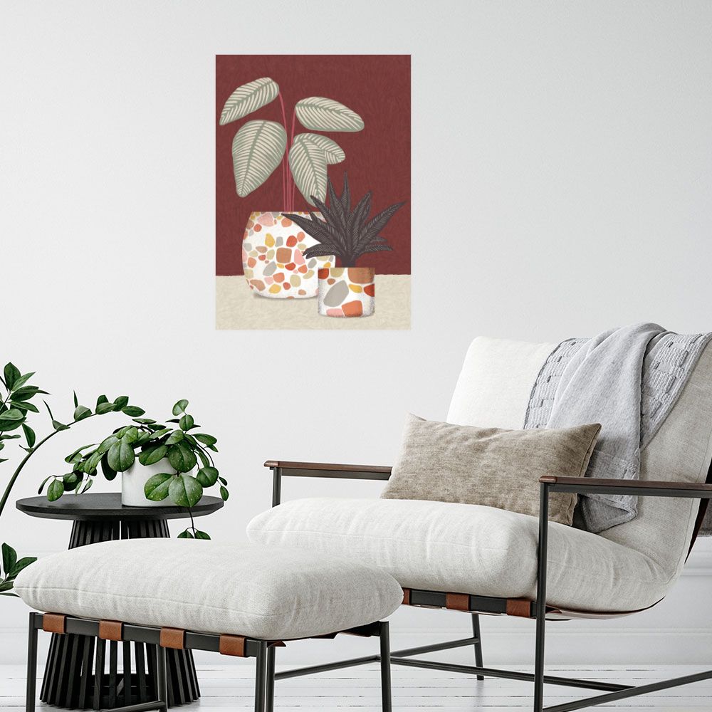 Affiche Plantes et pots