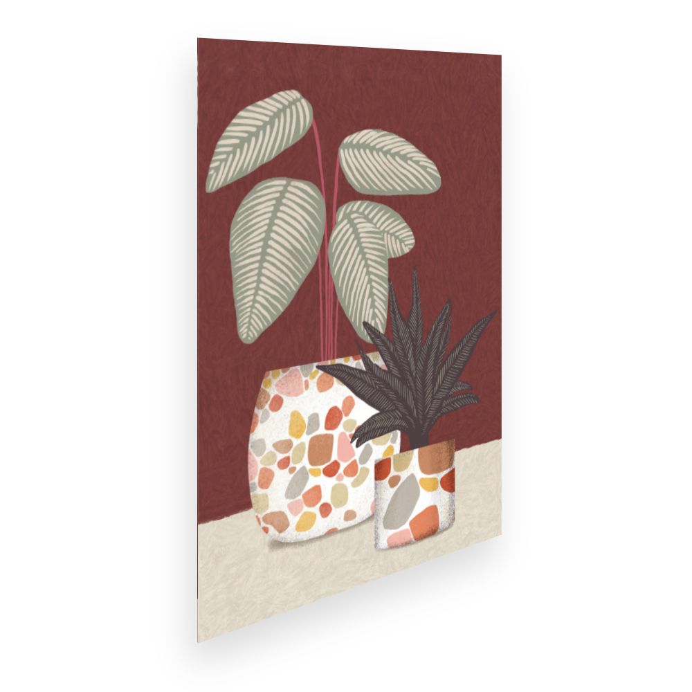 Affiche Plantes et pots