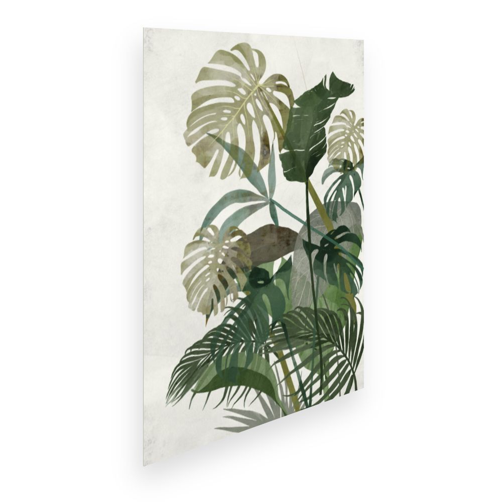 Affiche Feuilles tropicales élégantes