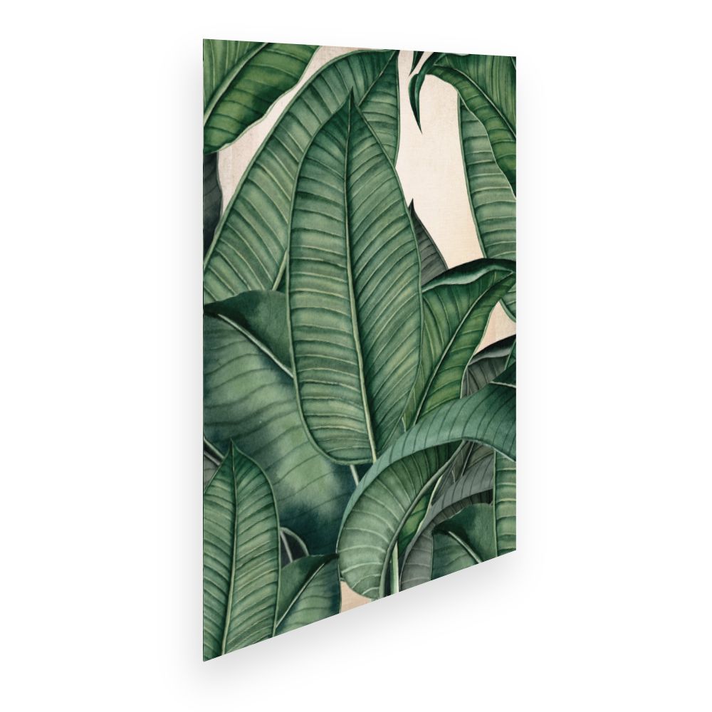 Affiche Feuillage tropical