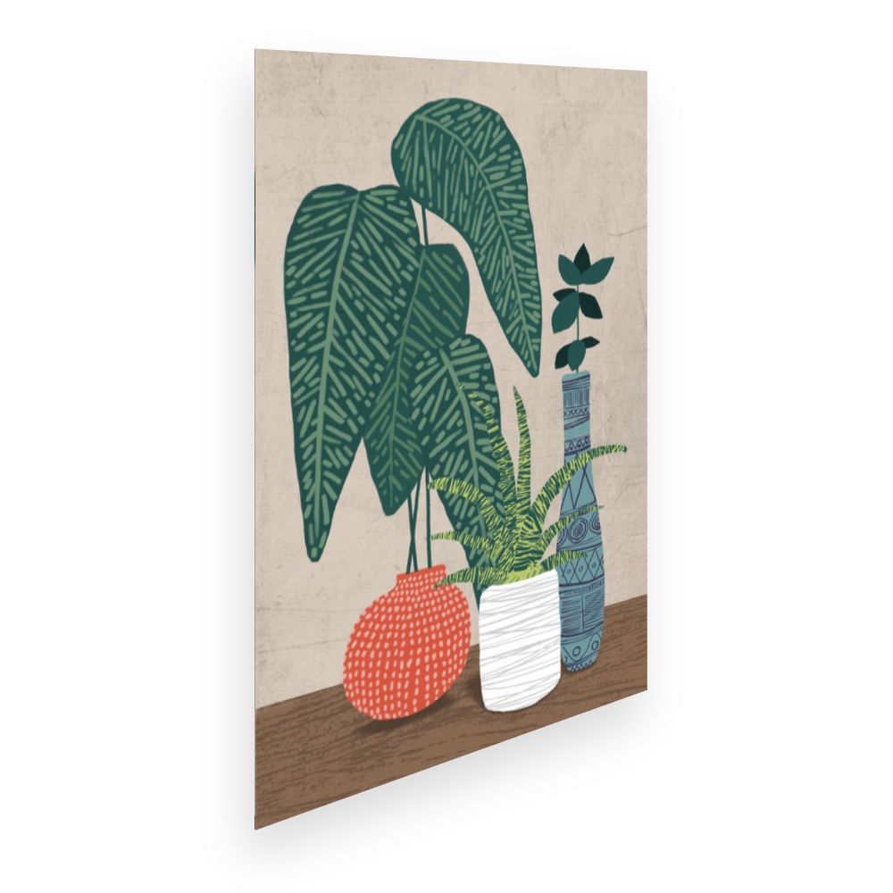 Affiche Plantes exotiques stylisées