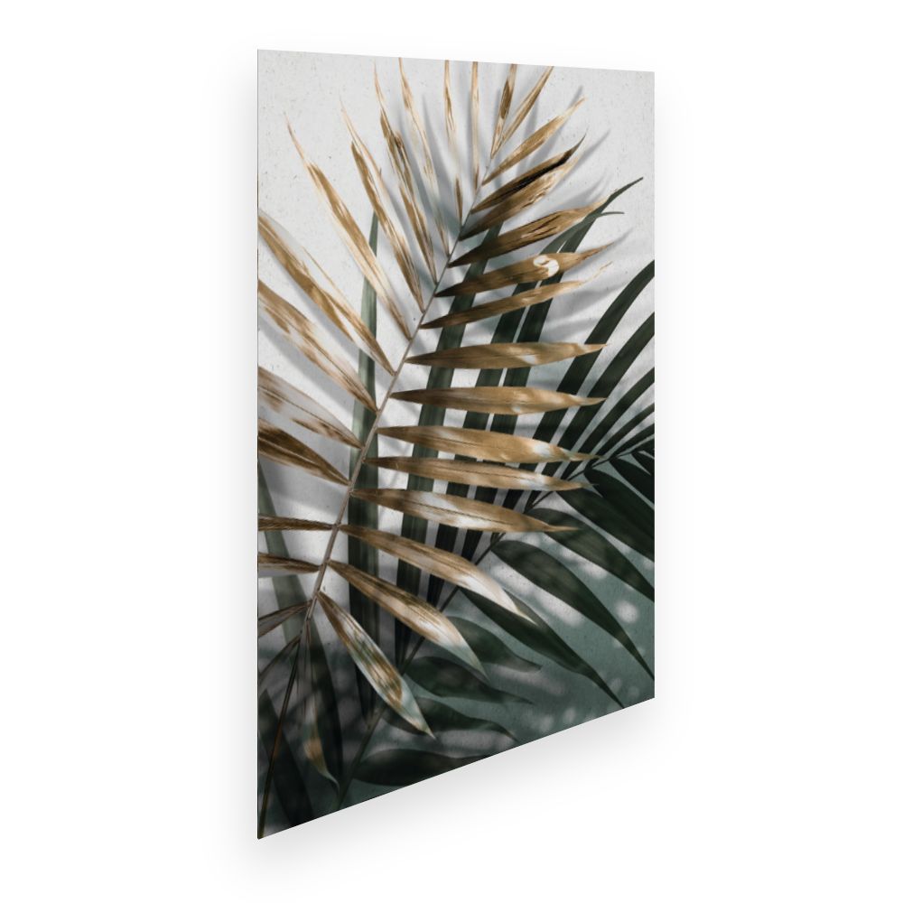 Affiche Feuilles tropicales