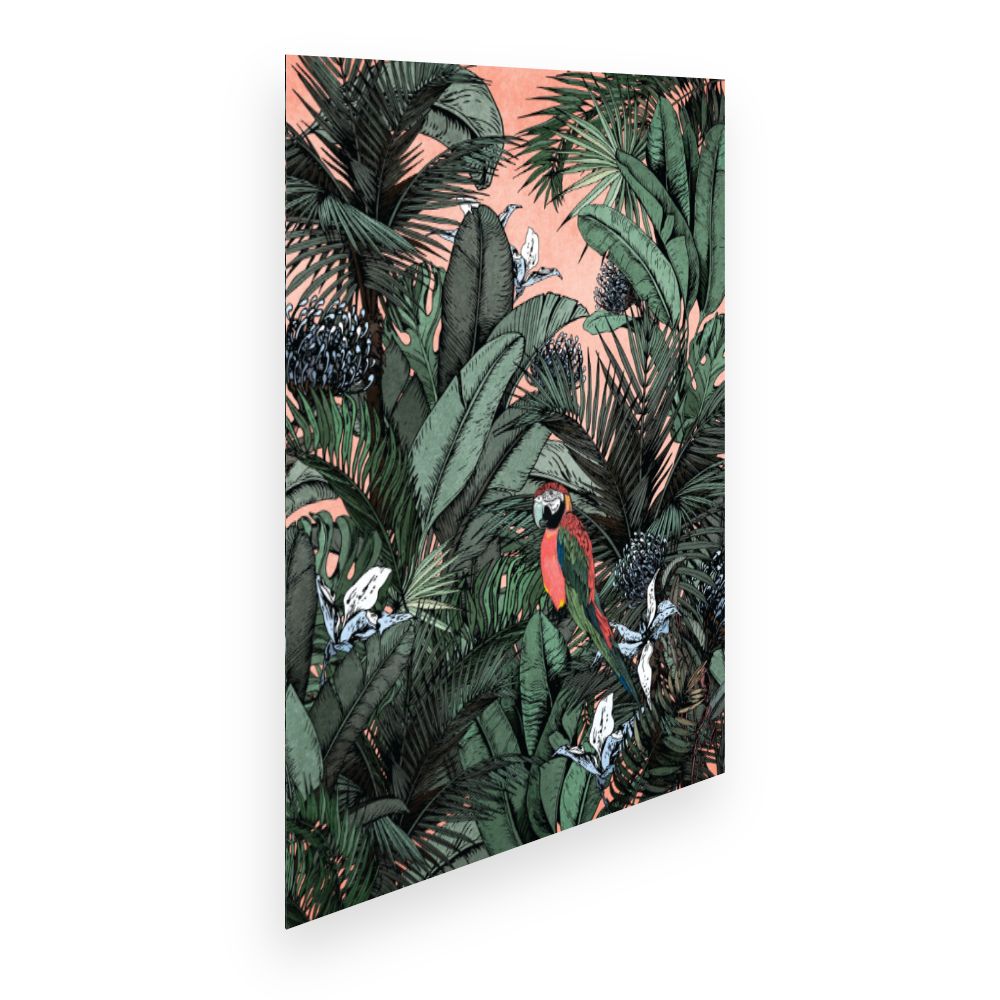 Affiche Perroquet exotique