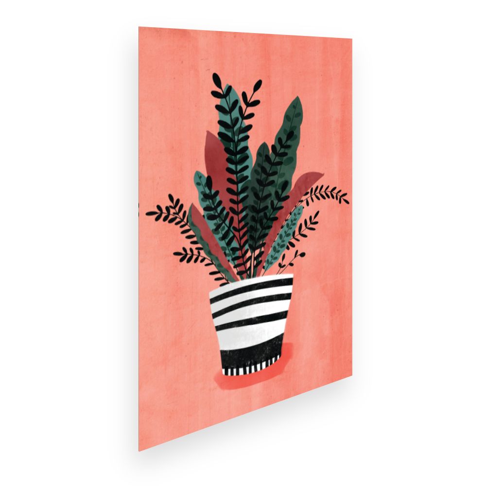 Affiche Plantes graphiques