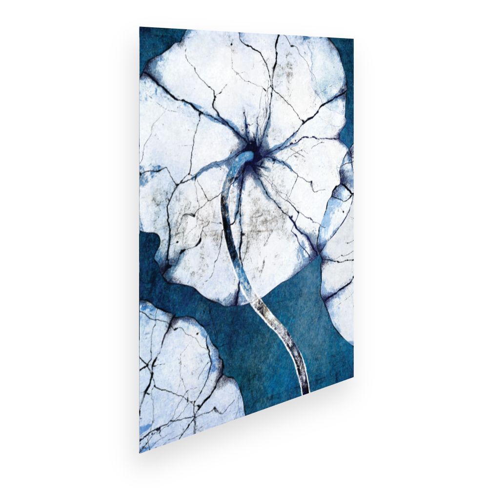Affiche Fleurs fractales