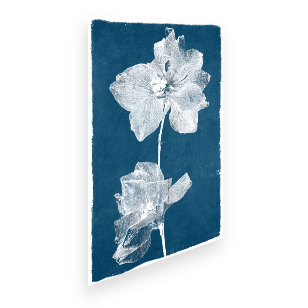 Affiche Fleurs délicates