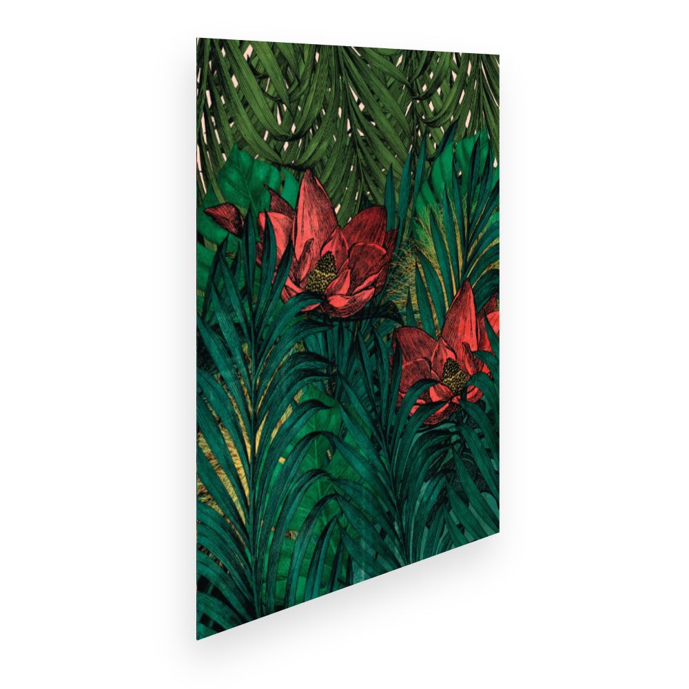 Affiche Fleurs exotiques fascinantes
