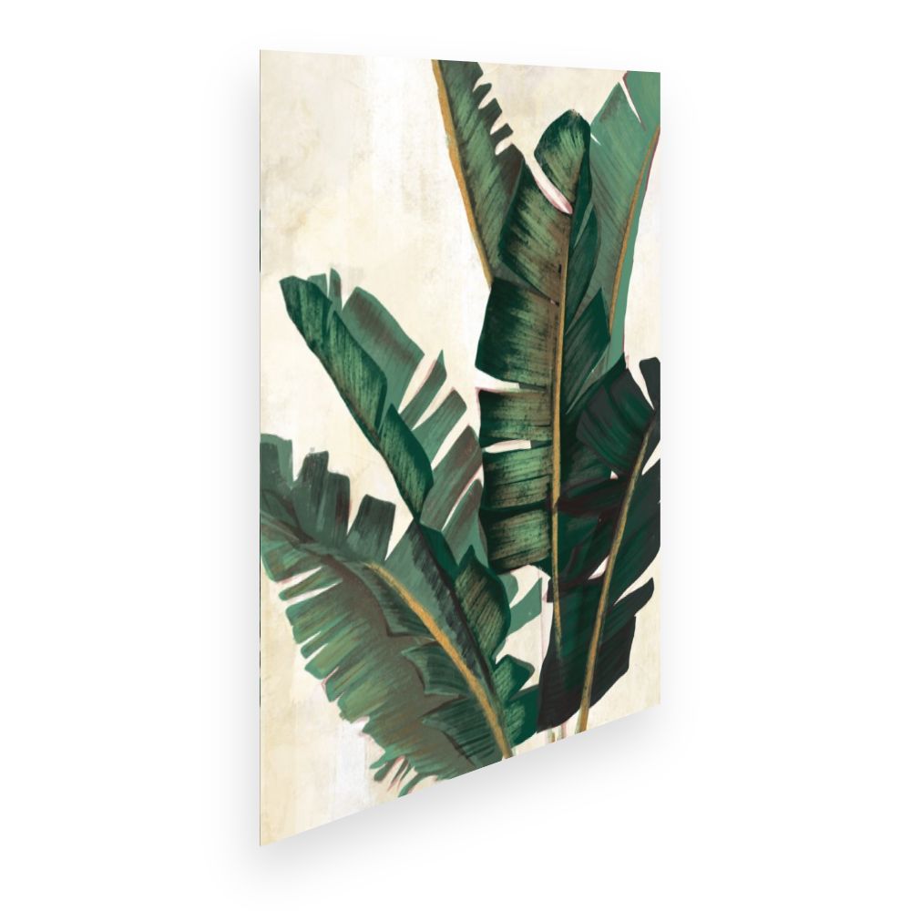 Affiche Feuilles tropicales luxuriantes