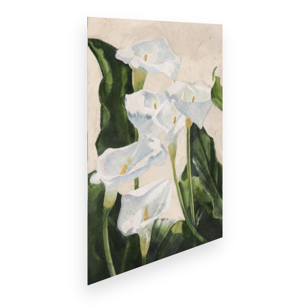 Affiche Élégantes fleurs blanches