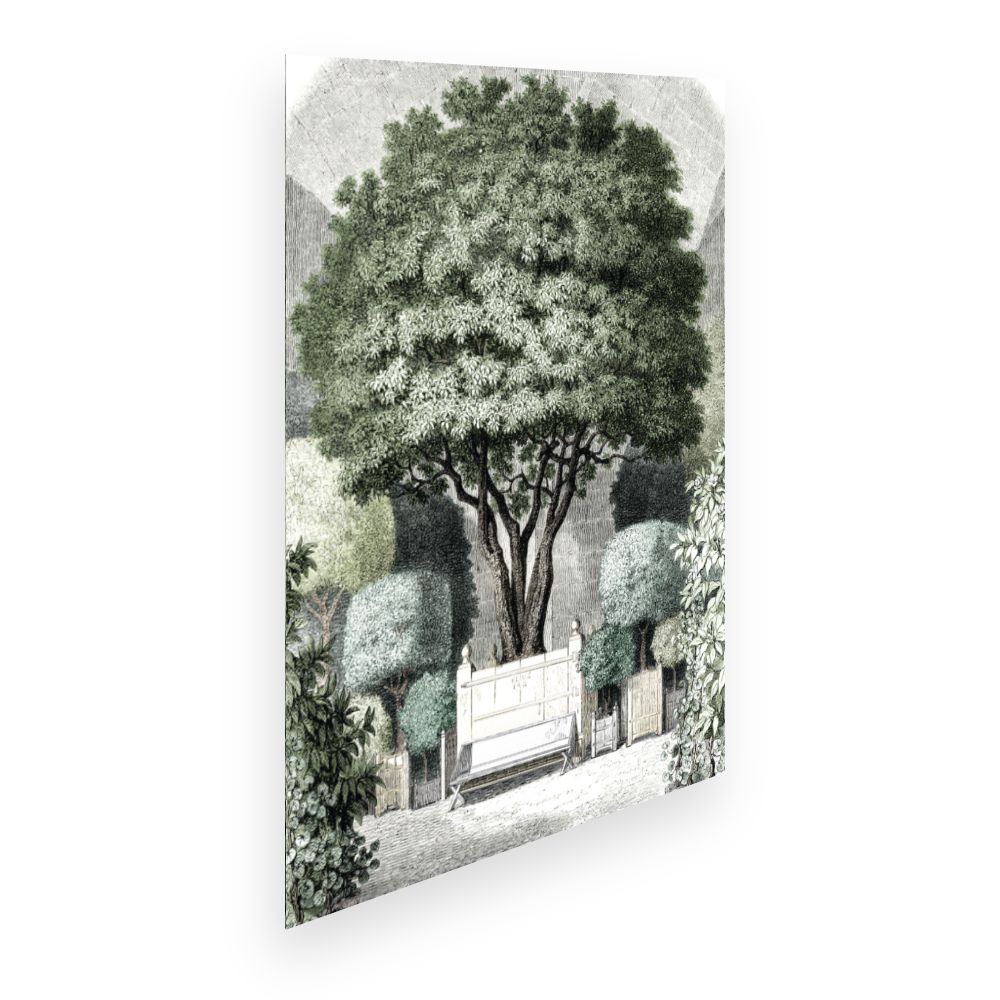 Affiche Arbre majestueux