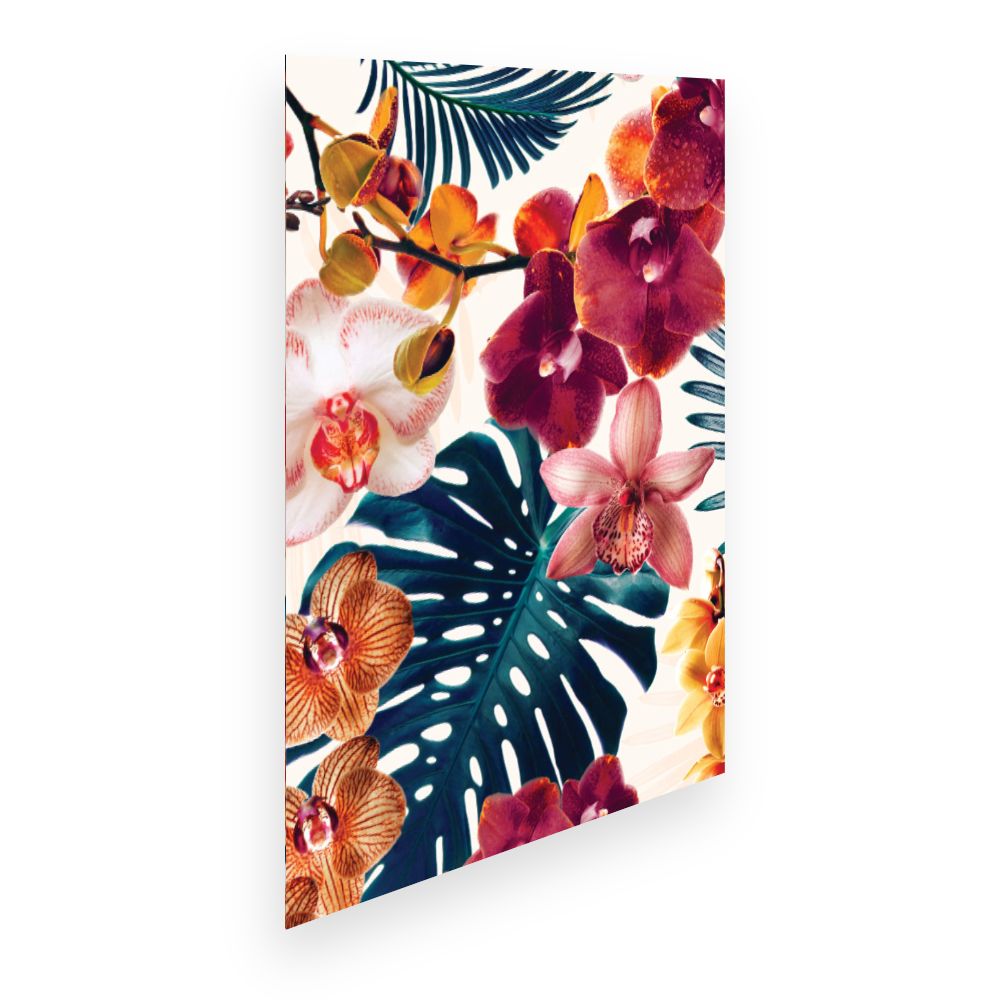 Affiche Fleurs exotiques vibrantes