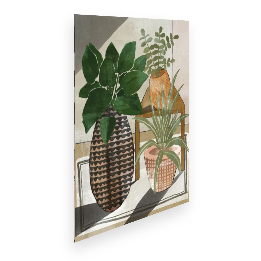 Affiche Vases botaniques