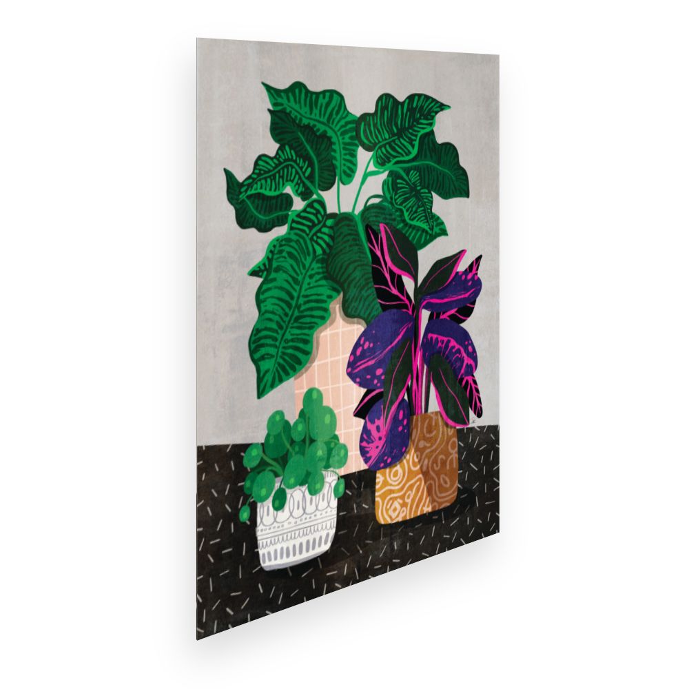 Affiche Plantes exotiques vibrantes