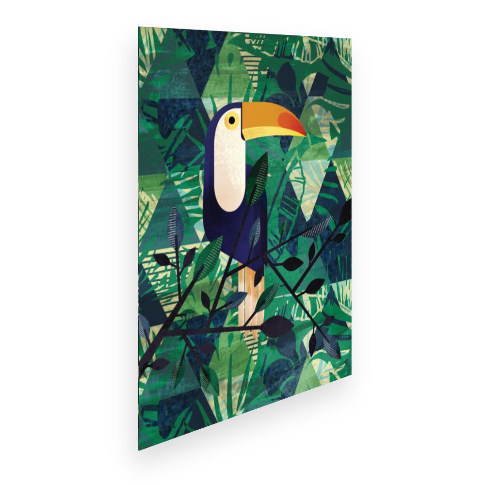 Affiche Toucan tropical