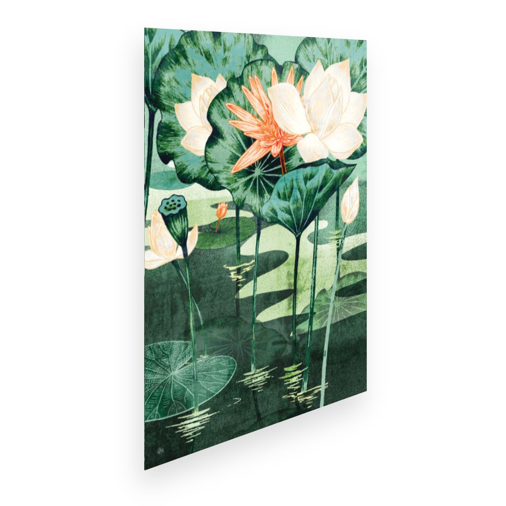 Affiche Lotus enchanteur