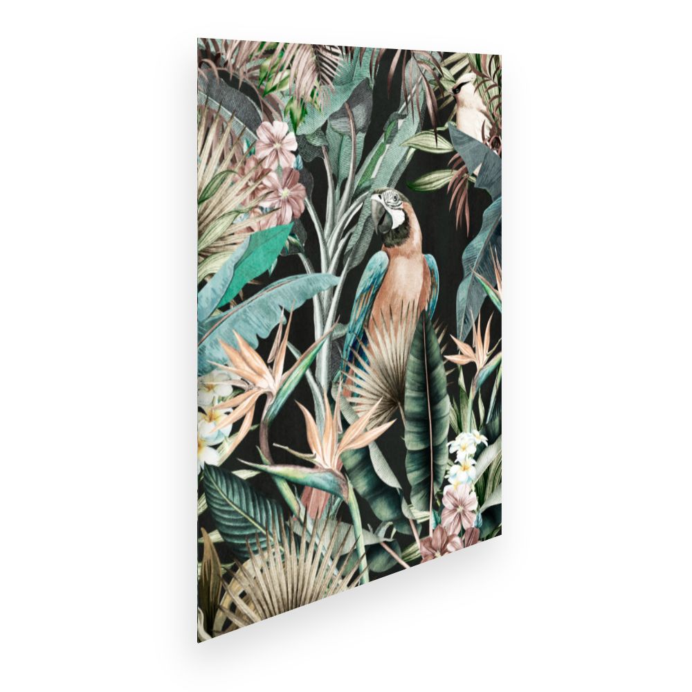 Affiche Jungle exotique