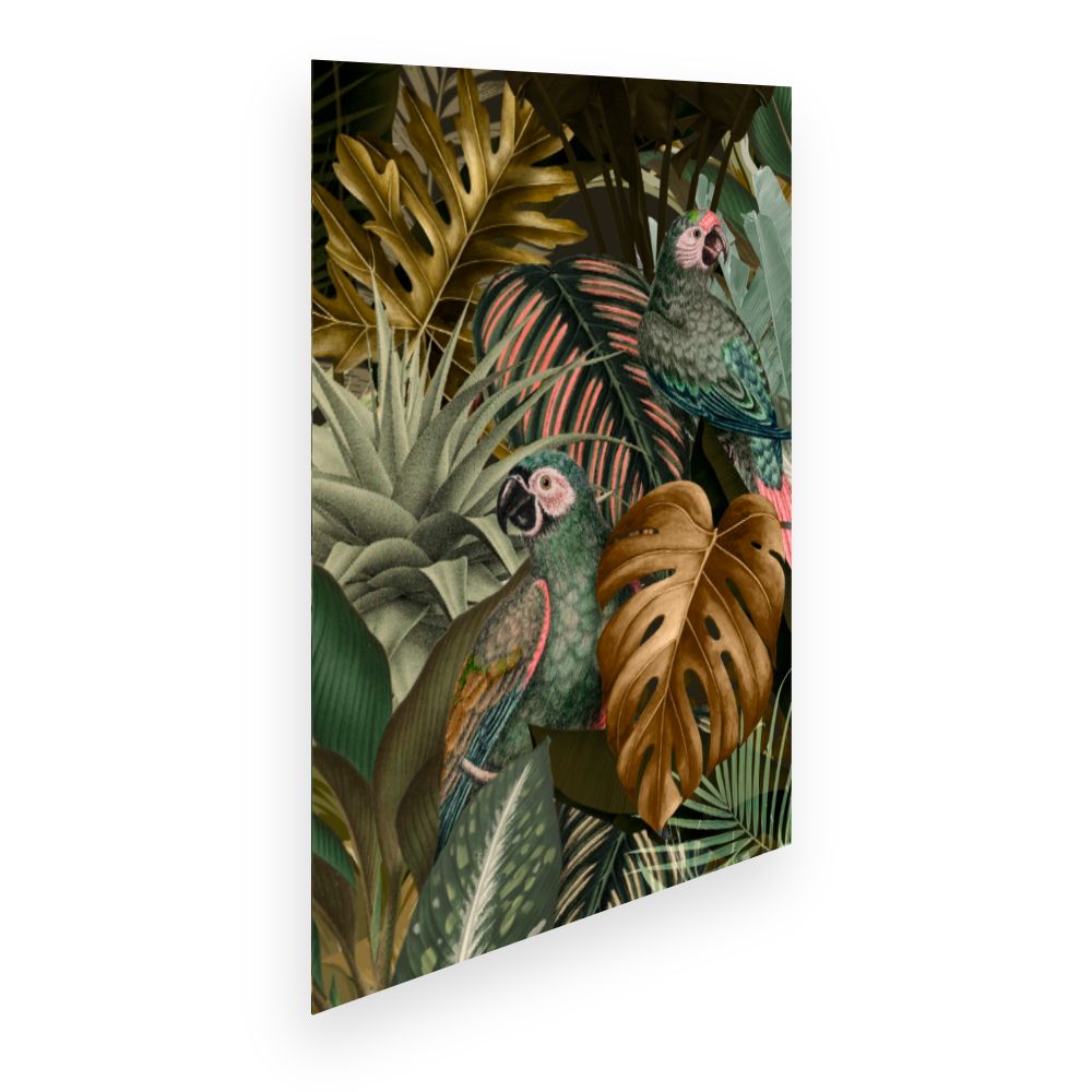 Affiche Perroquets exotiques