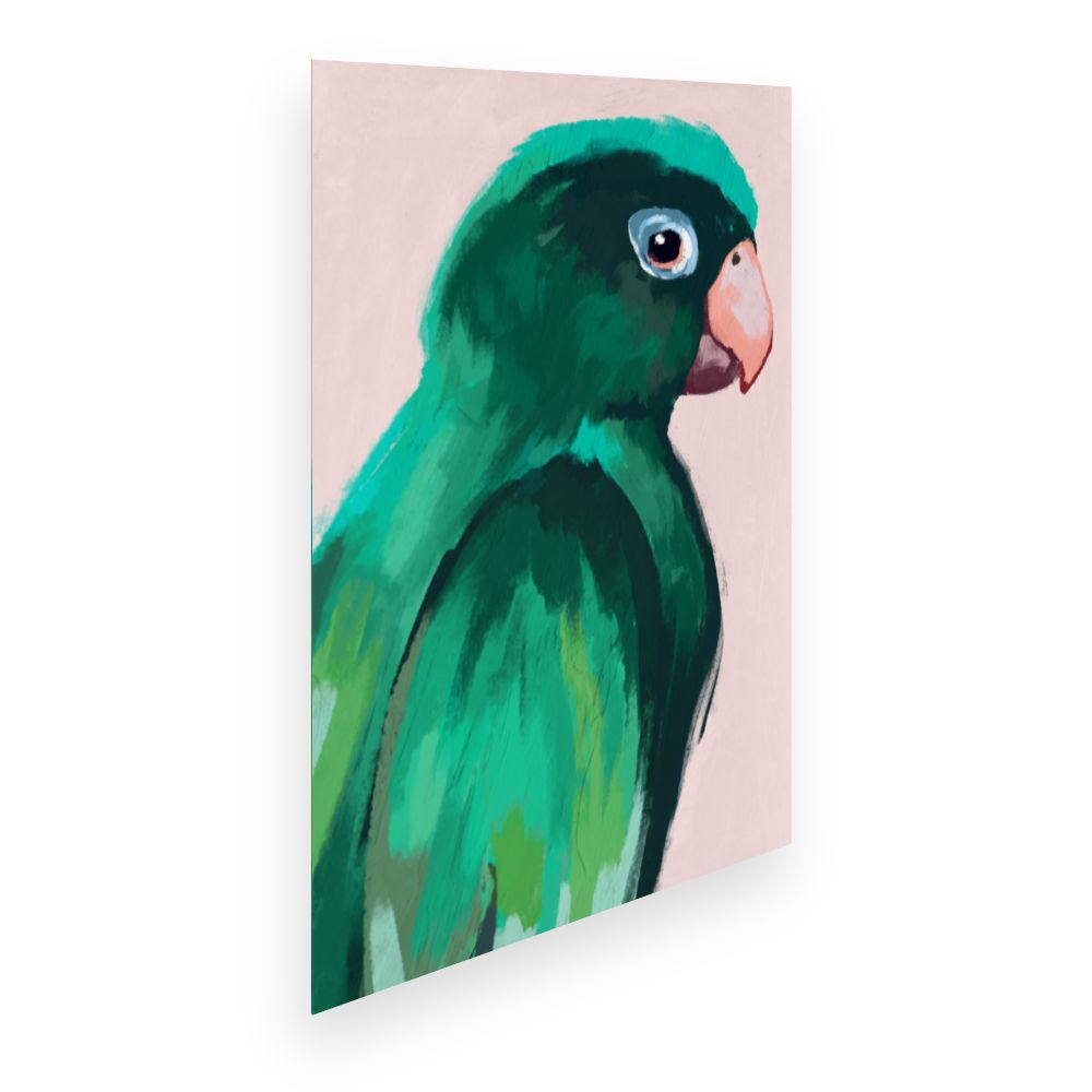 Affiche Perroquet vibrant