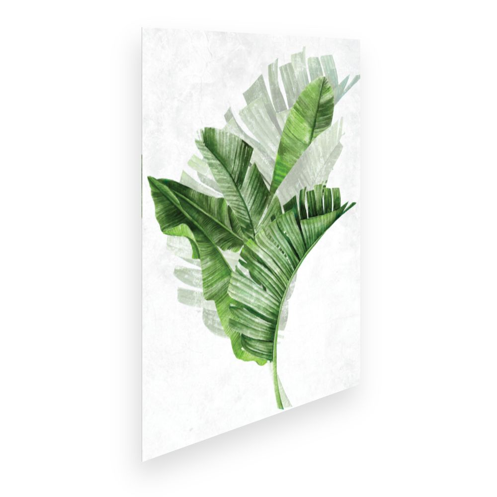 Affiche Feuillage tropical